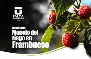 banner_seminario_frambueso